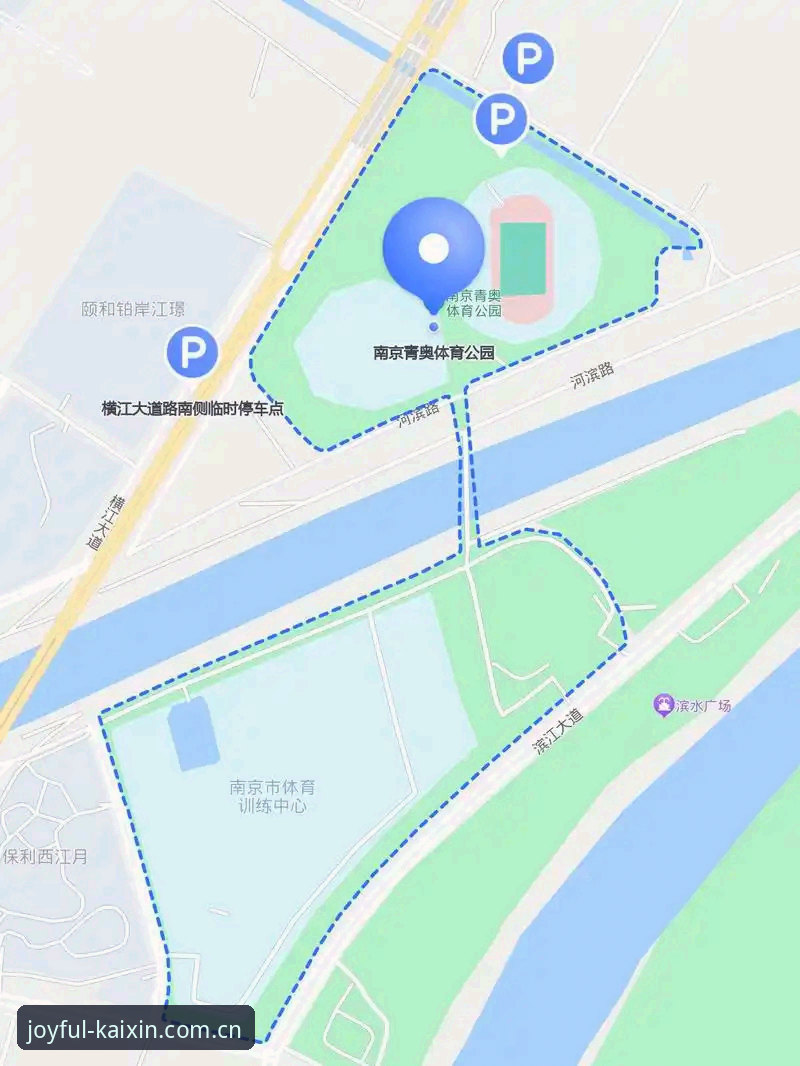 开心体育平台登录问题解决完整指南：从无法登录到顺畅体验